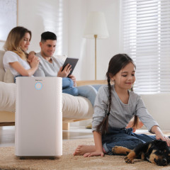 PRO BREEZE OmniDry Luftentfeuchter Weiß, Entfeuchterleistung: 12 l/d, Raumgröße: 30 m²)