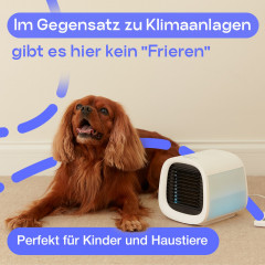 EVAPOLAR Tragbare Klimaanlage evaCHILL Luftkühler Mobiles Klimagerät