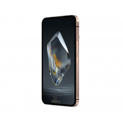 OUKITEL WP200 Pro 5G 24GB/1TB 8800mAh Schwarz 120Hz
