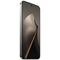 Xiaomi 15T 12GB/256GB Grau