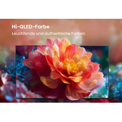 HISENSE 50Q7S Hi-QLED 4K TV (Flat, 50 Zoll / 126 cm, UHD 4K, SMART TV)