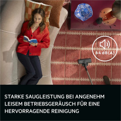 AEG VX83-2EBR Bodenstaubsauger, maximale Leistung: 750 Watt