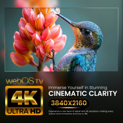 Q.2 43 Zoll | 4K UHD 3840x2160 | Smart TV LED (Flat, 43 Zoll / 108 cm, UHD 4K, SMART TV)