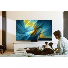 Samsung GQ77S95FATXZG (OLED-TV)