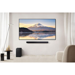 SAMSUNG HW-B460GF/ZG, Soundbar, Titan Schwarz