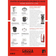 GAGGIA RI9481/17 CLASSIC E24 OP/Messingboiler Siebträgermaschine Jungle Green