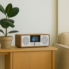 Denver MIR-270DW Braun