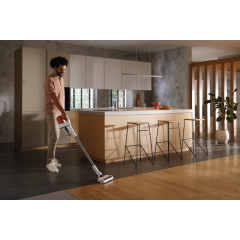 Miele Duoflex HX1 Terrarot