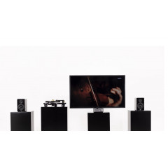 WiiM Amp Silber