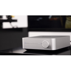 WiiM Amp Silber