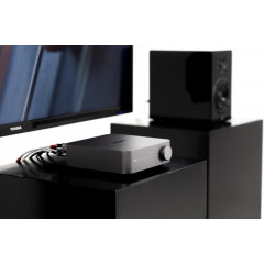 WiiM Amp Silber