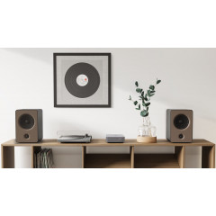 WiiM Amp Silber