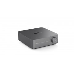 WiiM Amp Pro Grau