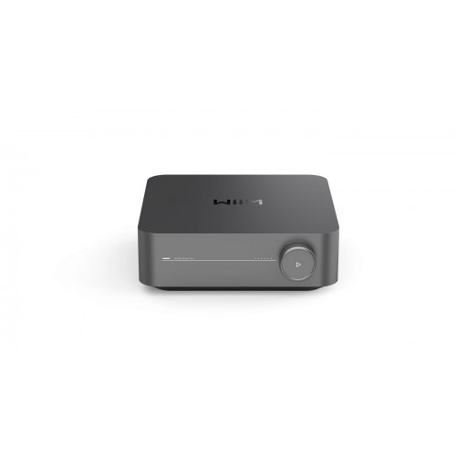 WiiM Amp Pro Grau