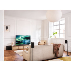 Sony Bravia Theatre Rear 8 Schwarz (Doppelpack)