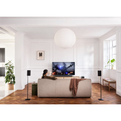 Sony Bravia Theatre Rear 8 Schwarz (Doppelpack)