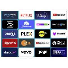 Dyon 22 VX LED-TV 55 cm 22 Zoll EEK E (A - G) Schwarz