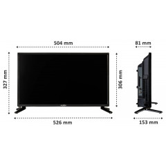 Reflexion LED22iBT LCD-TV 55 cm 22 Zoll EEK E (A - G) DVB-T2, DVB-C, DVB-S2, Full HD, Smart TV, WLAN, CI+ Schwarz